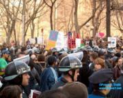 thm_NYC_News1net76558.jpg