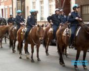 thm_NYC_News1net76562.jpg