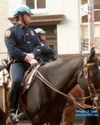 thm_NYC_News1net76563.jpg