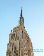 thm_NYC_News1net76570.jpg