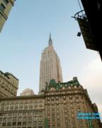 thm_NYC_News1net76571.jpg