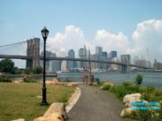 thm_NYC_News1net76575.jpg