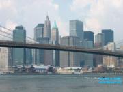 thm_NYC_News1net76576.jpg