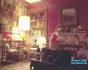 thm_NYC_News1net76584.jpg