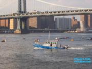 thm_NYC_News1net76590.jpg