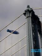 thm_NYC_News1net76595.jpg