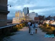 thm_NYC_News1net76608.jpg
