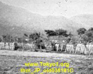thm_JP_old035181C.jpg