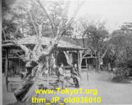 thm_JP_old036010.jpg