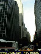 thm_NYC-012309.jpg