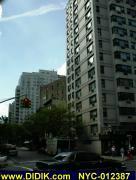 thm_NYC-012387.jpg