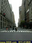 thm_NYC-012829.jpg