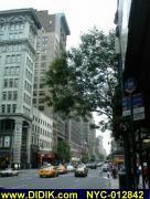 thm_NYC-012842.jpg