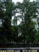 thm_NYC-012905.jpg