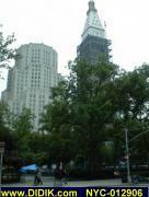 thm_NYC-012906.jpg