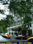 thm_NYC-017845.jpg