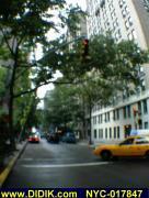 thm_NYC-017847.jpg