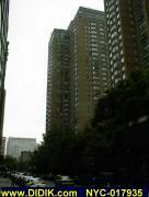 thm_NYC-017935.jpg