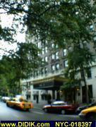 thm_NYC-018397.jpg