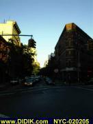 thm_NYC-020205.jpg