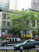 thm_NYC-020943.jpg