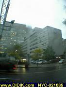 thm_NYC-021085.jpg