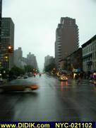 thm_NYC-021102.jpg