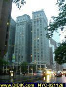 thm_NYC-021126.jpg