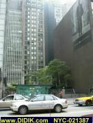 thm_NYC-021387.jpg