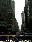 thm_NYC-021409.jpg