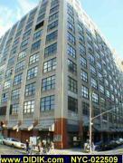 thm_NYC-022509.jpg