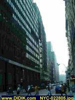 thm_NYC-022805.jpg