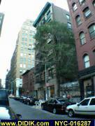 thm_NYC-016287.jpg