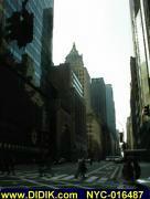 thm_NYC-016487.jpg