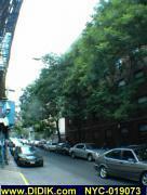 thm_NYC-019073.jpg