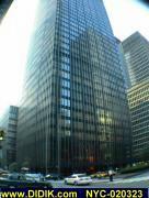 thm_NYC-020323.jpg