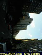 thm_NYC-020403.jpg