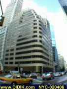 thm_NYC-020406.jpg