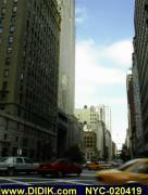 thm_NYC-020419.jpg