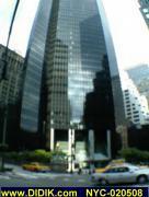 thm_NYC-020508.jpg