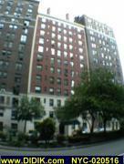 thm_NYC-020516.jpg