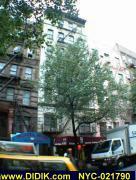 thm_NYC-021790.jpg