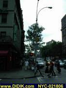 thm_NYC-021806.jpg