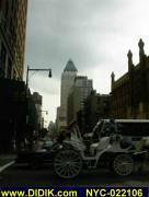 thm_NYC-022106.jpg