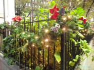 thm_Christmas2011200.jpg