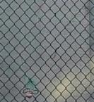 thm_P_20200901_175346_1.jpg