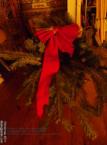 thm_christmas_past_0000119.jpg