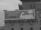 thm_news1_0003389.jpg